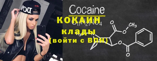 ПСИЛОЦИБИНОВЫЕ ГРИБЫ Вяземский