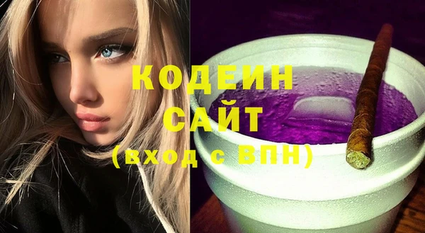 ПСИЛОЦИБИНОВЫЕ ГРИБЫ Вяземский